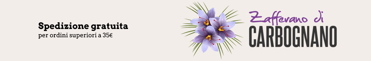 immagine-shop