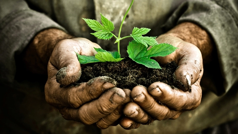 agricoltura biologica e rigenerativa
